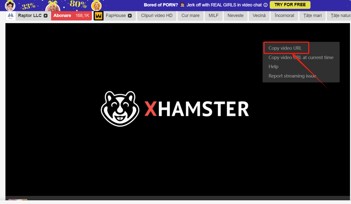 Download XHamster Videos Using XHamster Downloader-Step 1