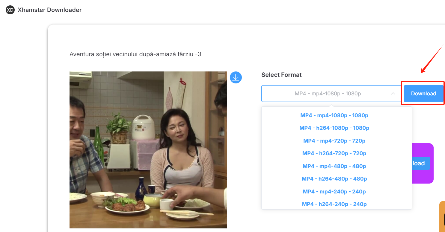 Download XHamster Videos Using XHamster Downloader-Step 3
