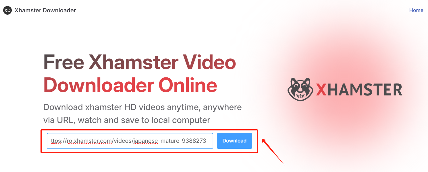 Use XHamster Online Downloader-step 3