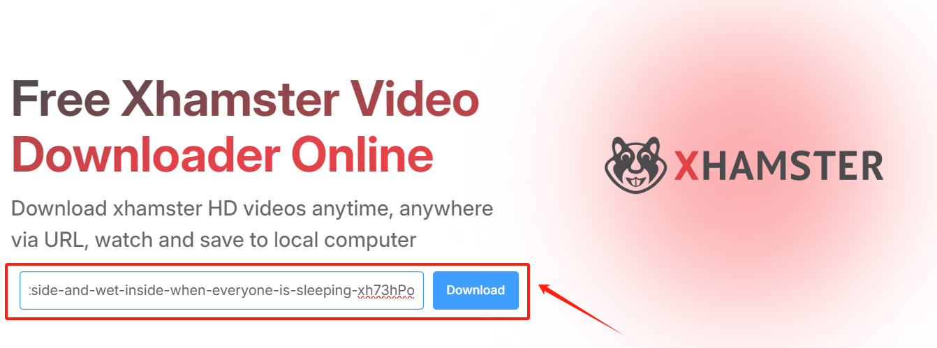 Paste the Link into xHamster Downloader