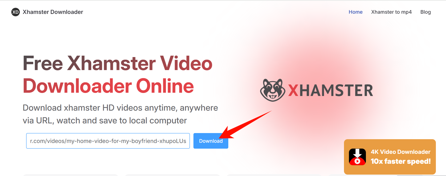 Visit a Downloader Website